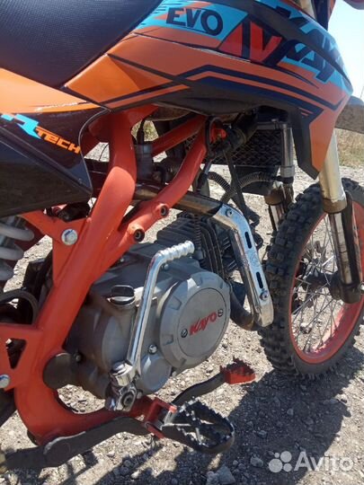 Kayo evolution 140(2022)