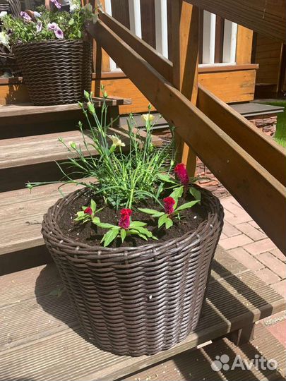 Кашпо плетеное, горшки, вазоны