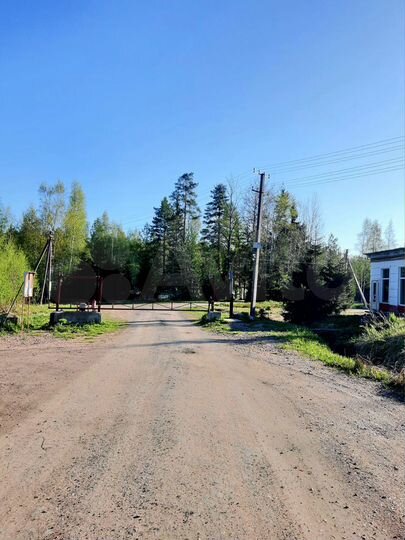 Участок 11 сот. (СНТ, ДНП)