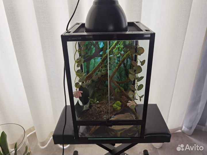 Террариум для рептилий