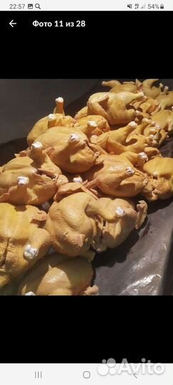 Куры бройлеры тушки мясо