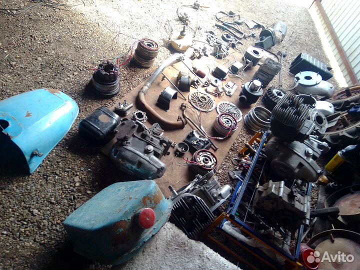 На мотороллер муравей