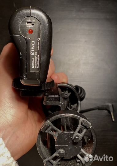 Raylab kino direct 111 микрофон