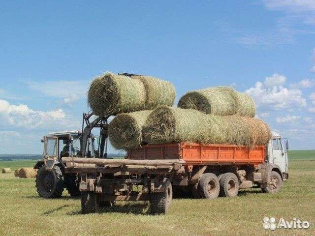 Сено 2023г Ангарский район в наличии