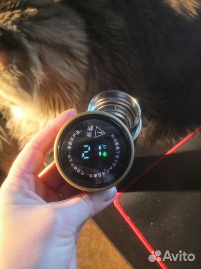 Термос с датчиком температуры