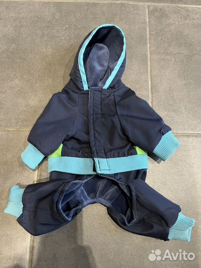 Одежда для собак