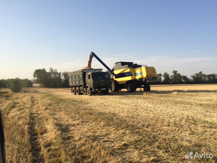 Услуги зернововозов