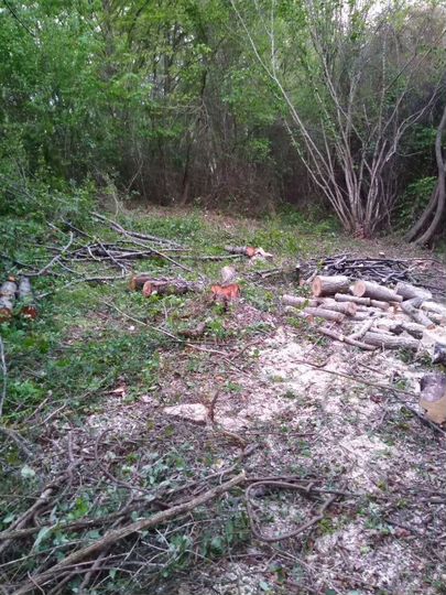 Участок 5,2 сот. (СНТ, ДНП)