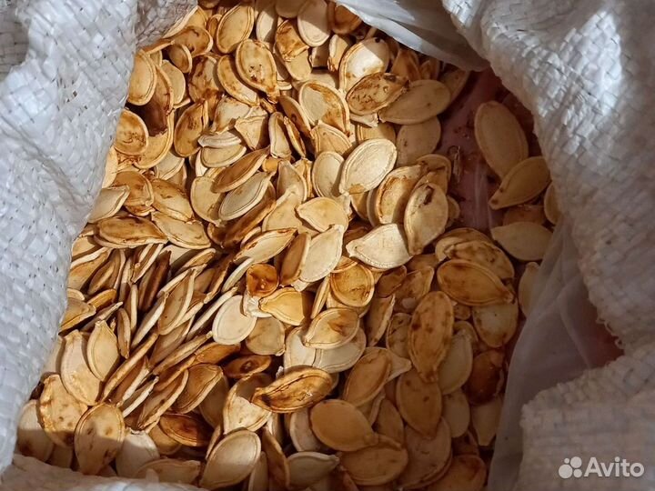 Семечки тыквы