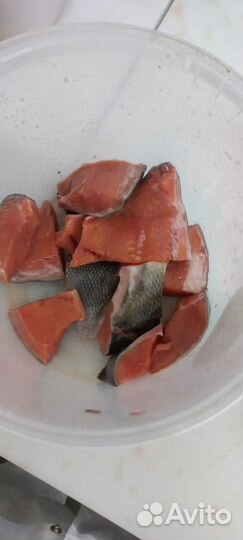 Кета потрошенная с головой