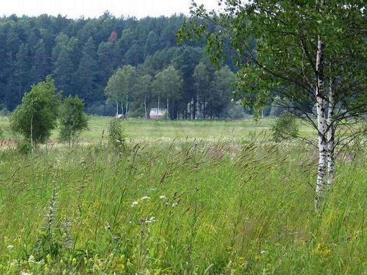 Участок 1,5 га (СНТ, ДНП)