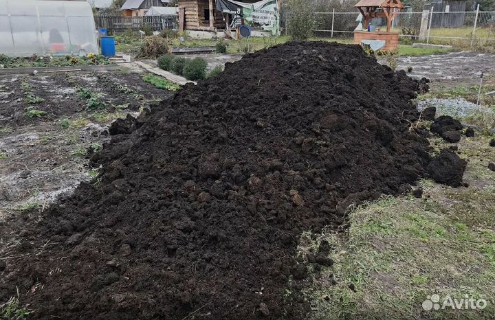 Чернозем Растительный