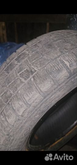 Dunlop Winter Maxx 195/65 R15