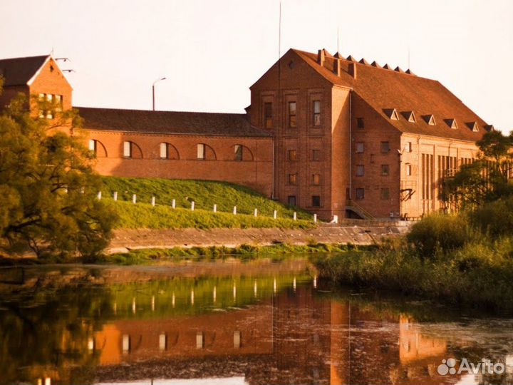 Экскурсии по Калининградской области