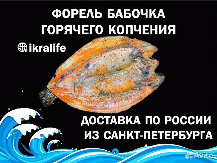 Форель Бабочка горячего копчения. Доставка по РФ