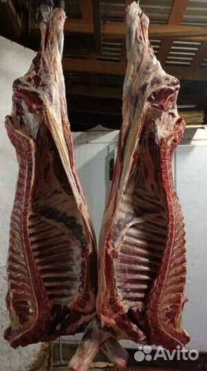Мясо говядина домашняя