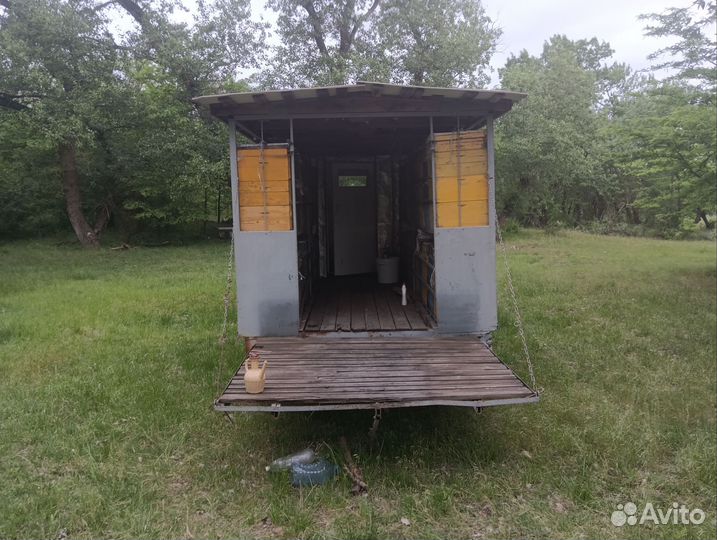 Пчело повилеон