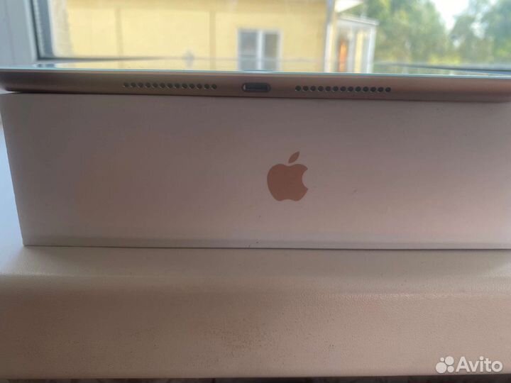 iPad