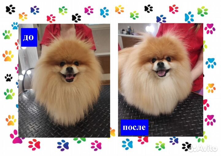 Груминг для животных