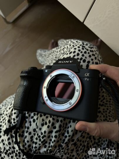 Фотоаппарат sony a7 iii