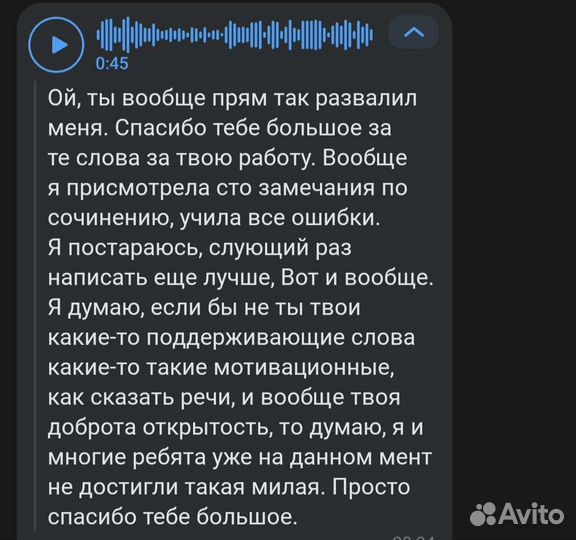 Репетитор по русскому языку и литературе