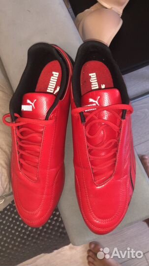 Puma орегинал