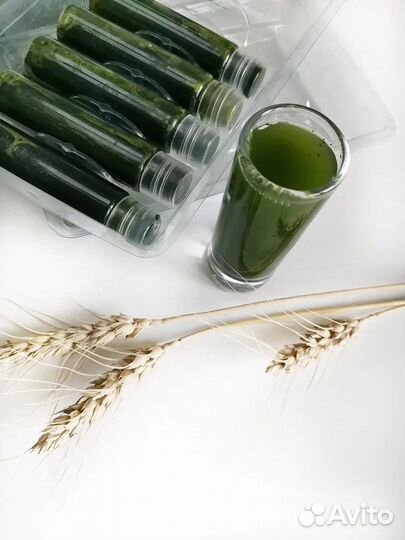Витграсс, сок из пшеницы