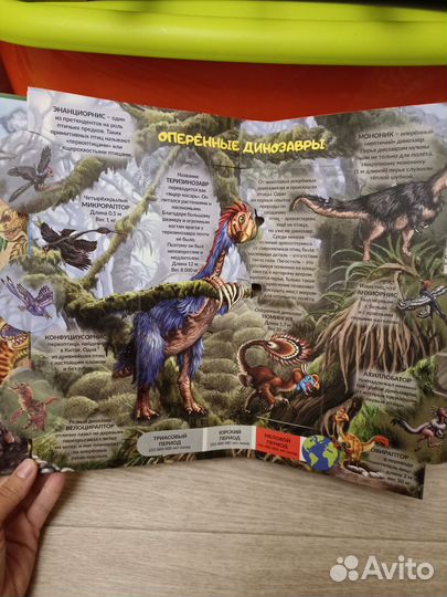 Книга про динозавров