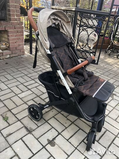 Коляска прогулочная Carello Astra