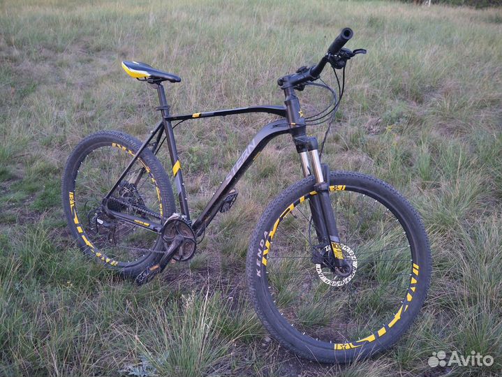 Stern Motion 2.0 2020