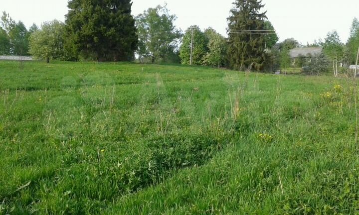 Участок 25 сот. (СНТ, ДНП)