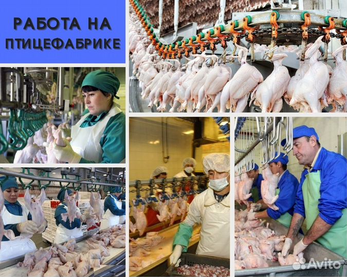 Вахта. Разнорабочие. Ростовская обл, г. Шахты