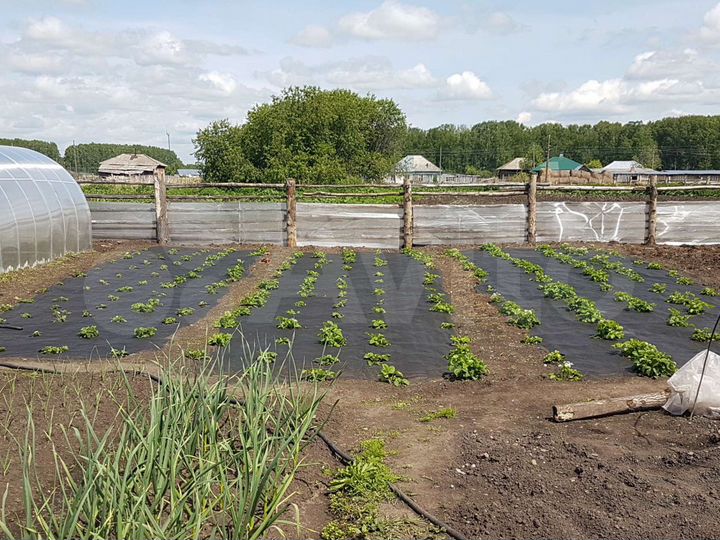 Дом 47,2 м² на участке 25 сот.