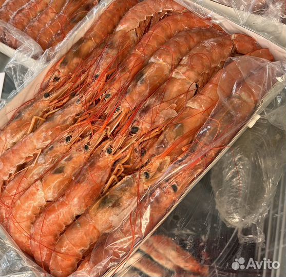 Лангустины