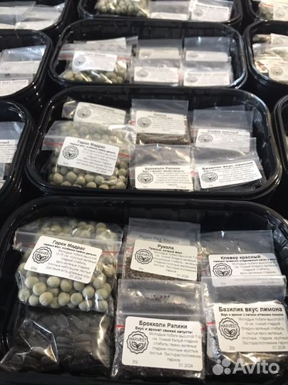 Набор для выращивания микрозелени