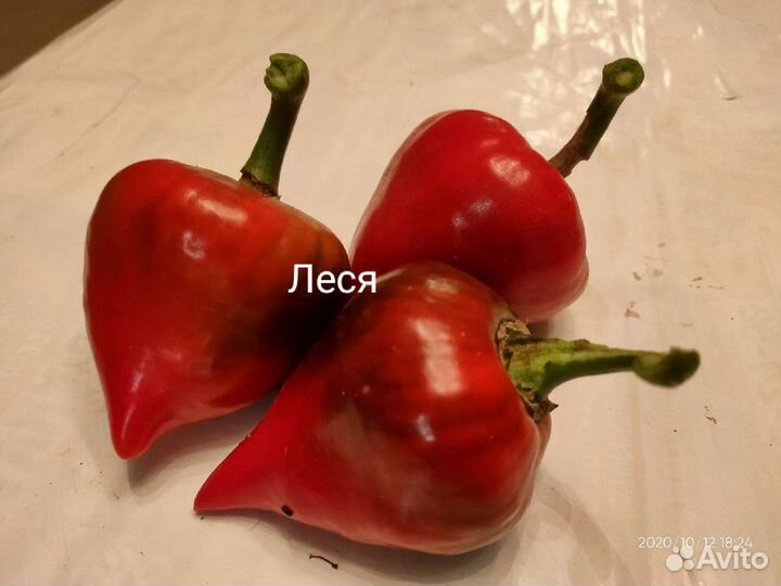 Семена сладкого перца