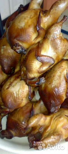 Перепела перепелята и яйцо