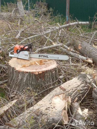 Спил деревьев