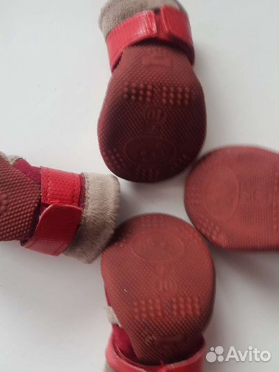 Обувь для собак