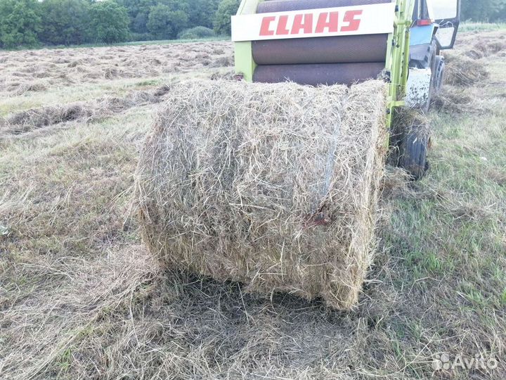 Сено в круглых (рулонах) тюках