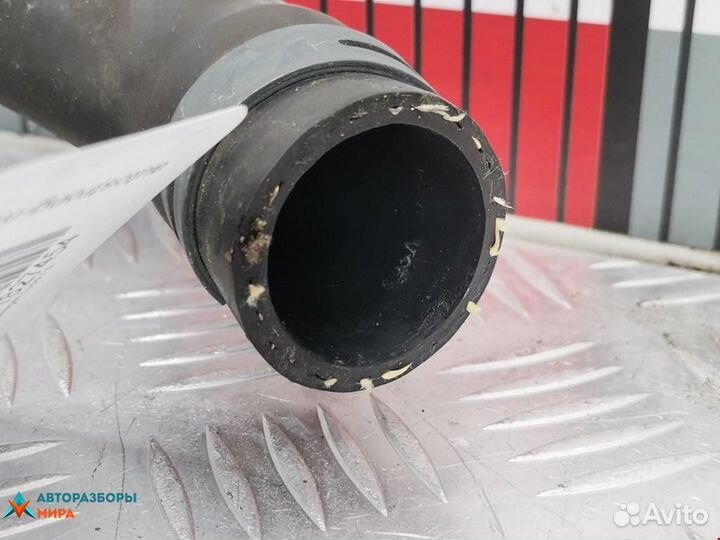 Патрубок радиатора Volkswagen Lupo 6X 2000