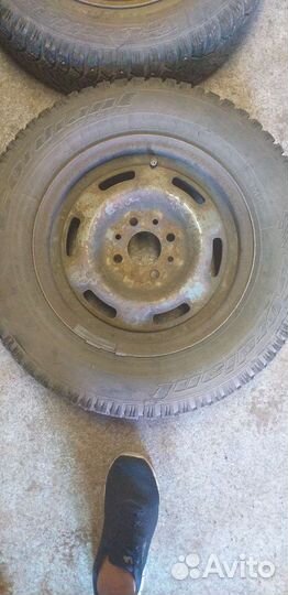 Cordiant Polar 175/70 R13