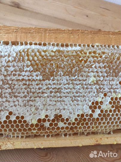 Мед, медовые рамки