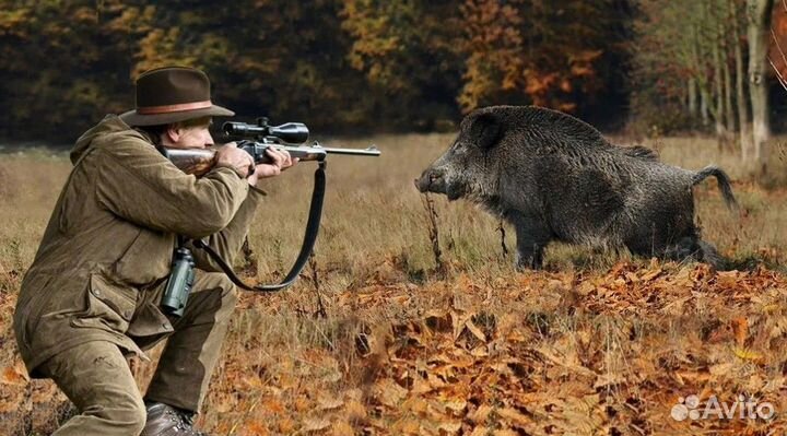 Охота на рябчика \ организация охоты