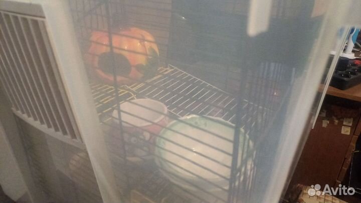 Террариум для рептилий бу