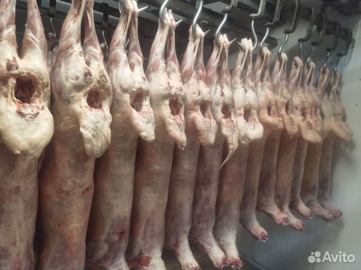 Мясо халяль из Дагестана