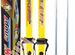 Лыжи детск�ие "Вираж-спорт" 100 см с палками