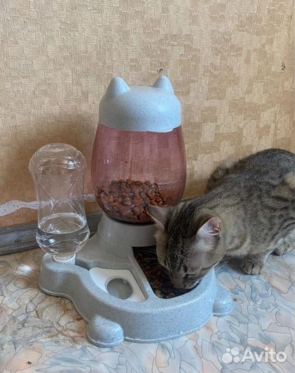 Кормушка с поилкой. для кошек и собак