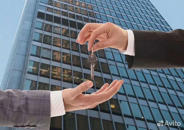 Доверительное управление недвижимостью