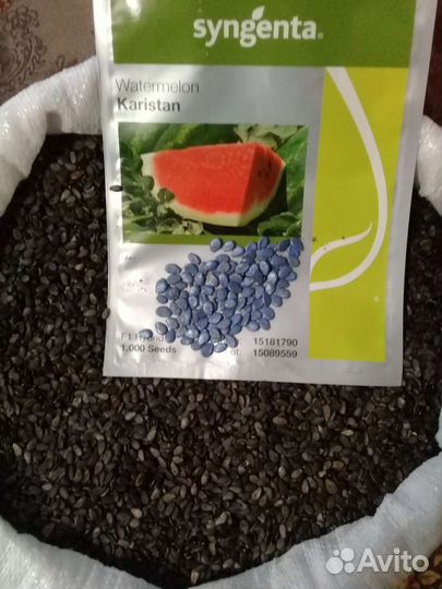 Семена арбуза